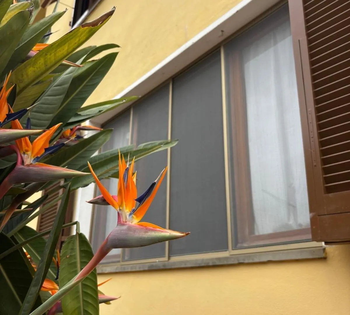 Holiday home La Casa Del Mare Villa Marciana Marina